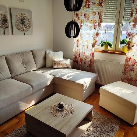 Apartment Rosa Novi Sad Eksteriør bilde