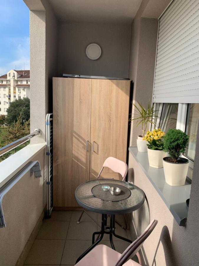 Apartment Rosa Novi Sad Eksteriør bilde