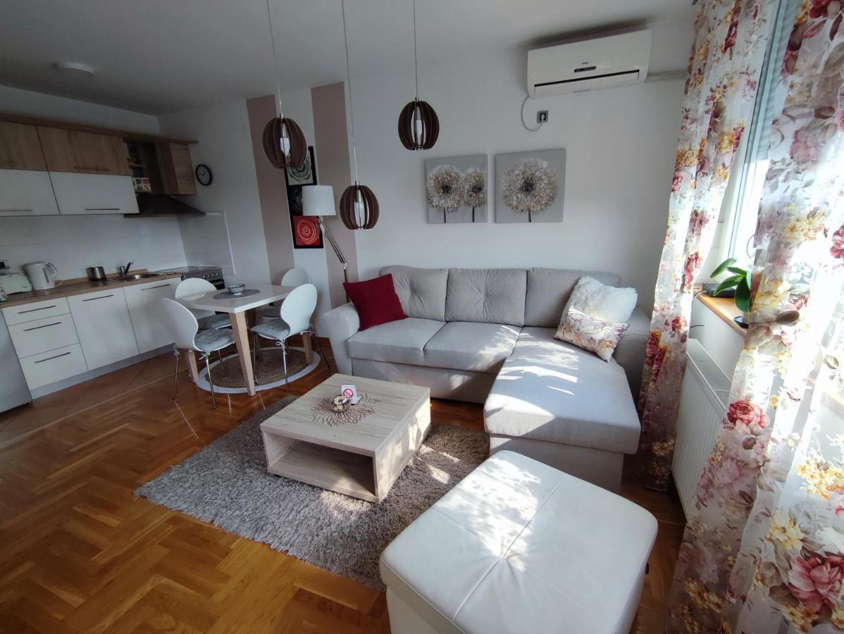 Apartment Rosa Novi Sad Eksteriør bilde