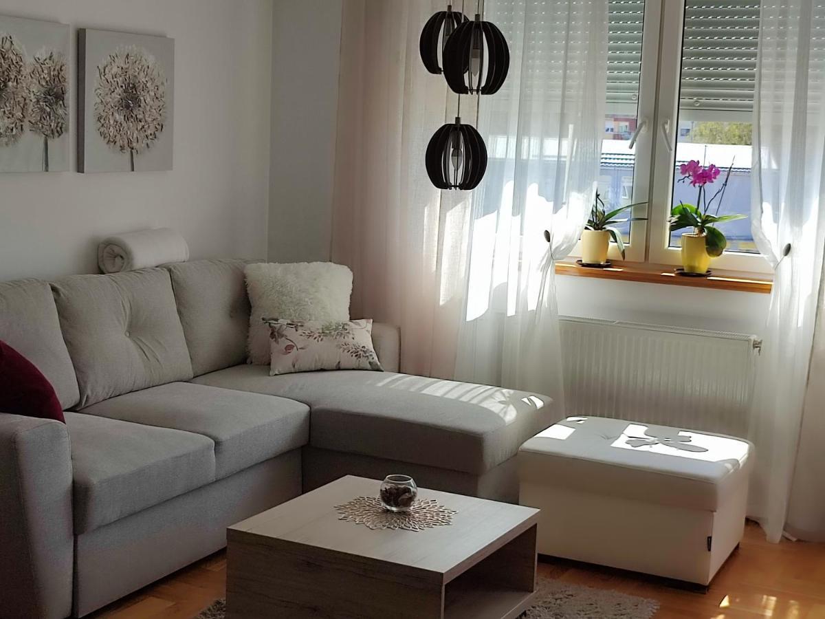 Apartment Rosa Novi Sad Eksteriør bilde