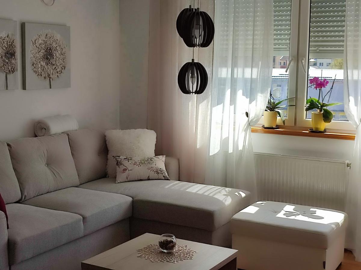 Apartment Rosa Novi Sad Eksteriør bilde